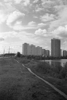 black and white summer city landscape